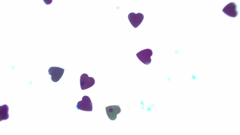 Heart shapes floating acros the frame with a white background Stock Footage 133506700