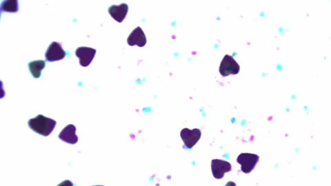 Heart shapes floating acros the frame with a white background Stock Footage 133506749