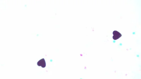 Heart shapes floating acros the frame with a white background Stock Footage 133506762