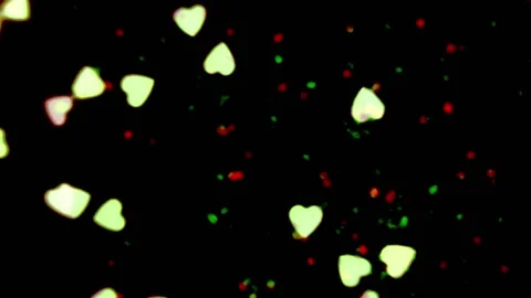 Heart shapes floating acros the frame with a black background Stock Footage 133506977
