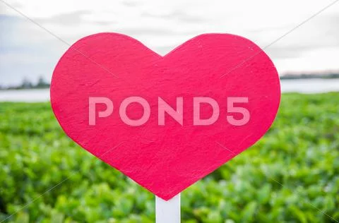 Heart sign on blur green background Stock Photos