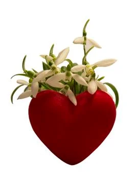 Heart in snowdrops Stock Photos