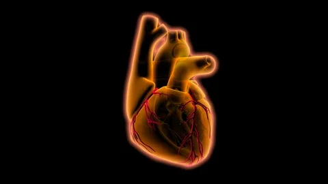 Heart stand 스톡 동영상 95892281