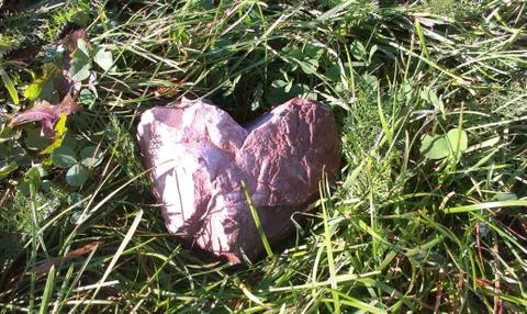 Heart of stone Stock Photos
