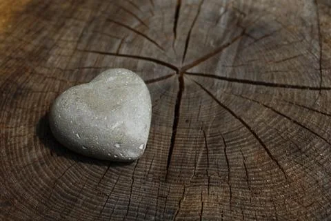 A heart of stone on a weathered tree trunk Stock Photos