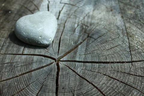 A heart of stone on a weathered tree trunk Stock Photos