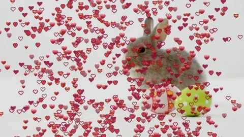Heart stream rising from bottom, hearts filling frame while rabbit moving by Stock Footage 330356121