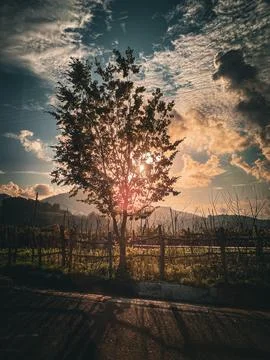 Heart of the sun Stock Photos