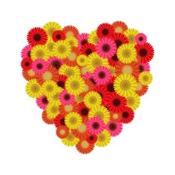 Heart symbol of gerberas Stock Illustration