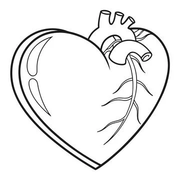 Heart Symbol Linear Outline Vector Illustration Stock Illustration