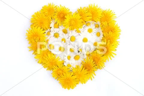 Heart symbol Stock Photos