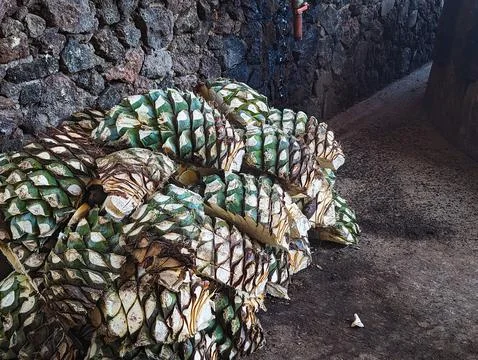 The Heart of Tequila Stock Photos