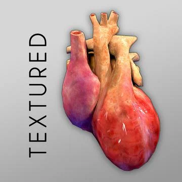 Heart Textured Bumpmap 3D Model