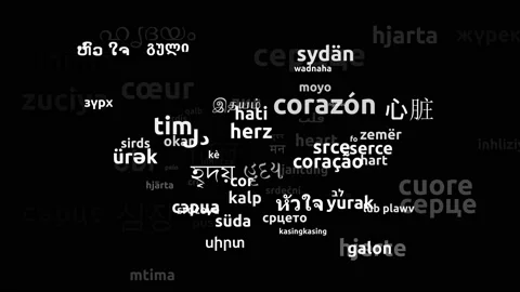 Heart Translated in 77 Worldwide Languages Endless Looping 3d Zooming Wordclo Stock Footage 145205311