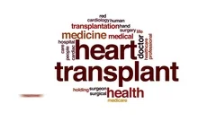Heart transplant animated word cloud, te... | Stock Video | Pond5