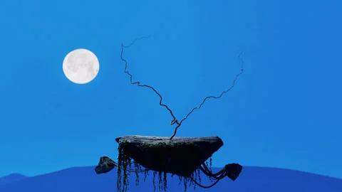 Heart Tree Growing Stock Footage 314562137