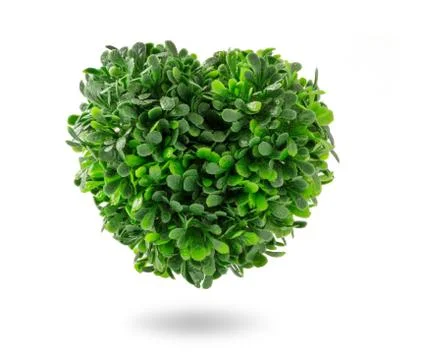 Heart tree Stock Photos