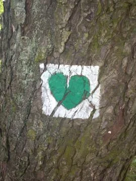 Heart on tree Stock Photos