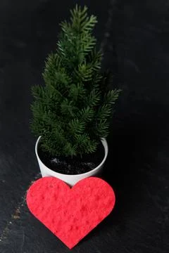 Heart with a tree Stock Photos