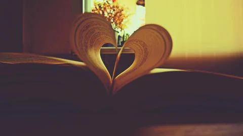 Heart for valentine day Stock Photos