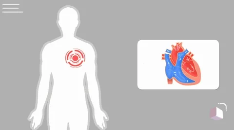 Vector Analysis Of The Heart