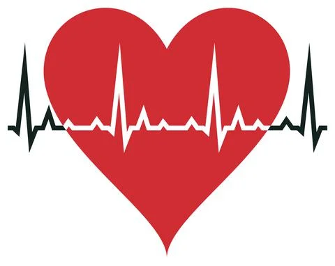 Heart vector in red with cardiogram. White isolated background. Stock Illustration