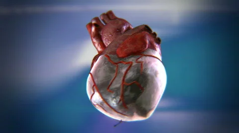 Heart w background p5 動画素材 791588