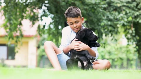 Heart warming relations between child and his dog Stock Footage 139213625