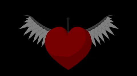 Heart with wings Stock Footage 993587