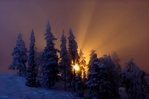 Heart of winter Stock Photos