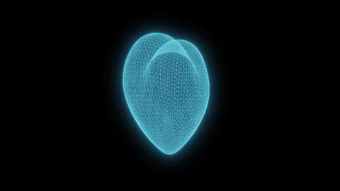 Heart Wireframe Rotating on Black Background Stock Footage 337524062