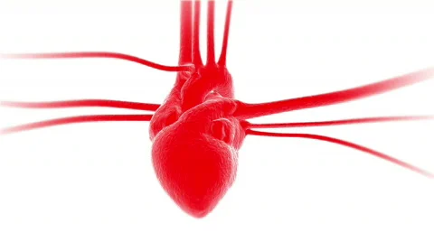 Heartbeat animation Stock-Footage 861240