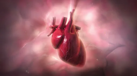 Heartbeat Stock Footage 26145475
