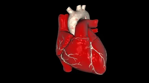 Heartbeat Video stock 88435790