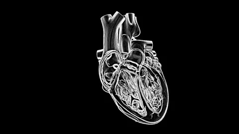 Heartbeat Stock Footage 329077514