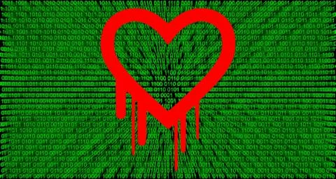 Heartbleed bug Stock Photos