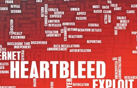 Heartbleed exploit Stock Illustration
