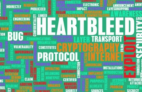 Heartbleed exploit Stock Illustration