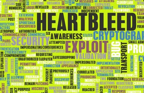 Heartbleed exploit Stock Illustration