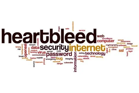 Heartbleed word cloud 스톡 일러스트