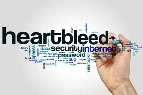 Heartbleed word cloud Stock Illustration