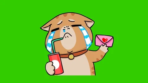 Heartbroken Cat Animation with Green Screen Stock Footage 282773894