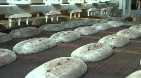 Hearth bread moves along a conveyor belt.mp4 Stock Footage 49033247