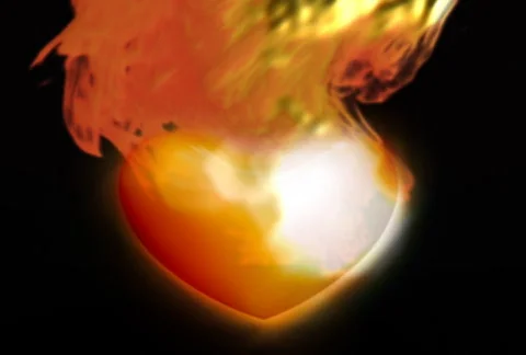 Heartonfire ntsc Video stock 310067