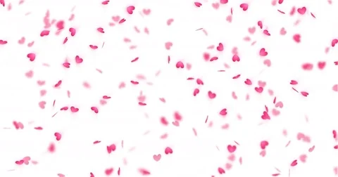 Heart confetti falling on transparent background. Flower petal in