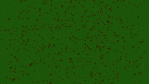 Hearts effect background on green screen animation. Stock Footage 125017940