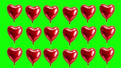 Hearts Floating Isolated Green Screen Stock Video Stock Footage 341333510