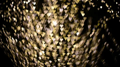 Hearts focus Stock Footage 32691383