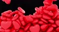 Hearts love fill screen transition pulse valentine sex romance dating loop 4k 4k or 4k+ Resolution