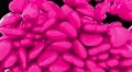 Hearts love fill screen transition pulse valentine sex romance dating loop 4k 4k or 4k+ Resolution